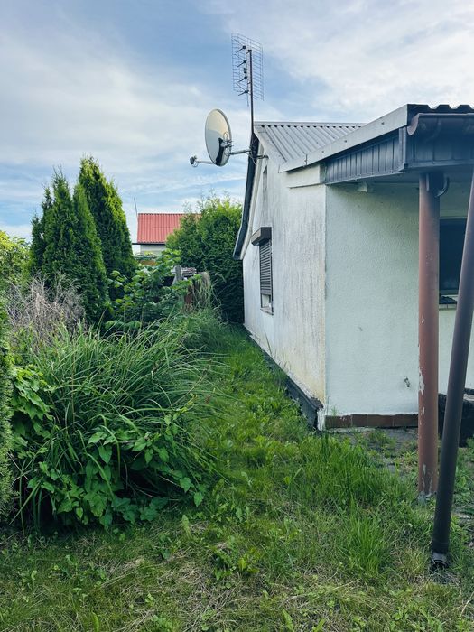 Dzialka w Dąbiu ROD„Nowe osiedle” - Widok 3