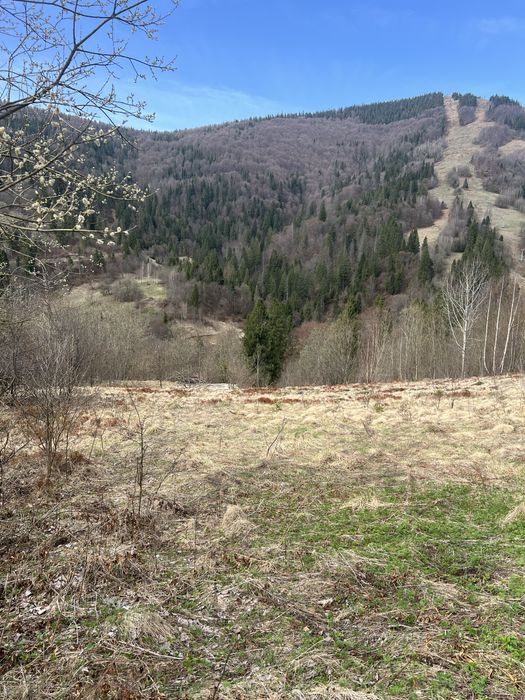 Продам земельну ділянку Славське