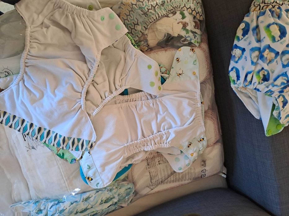 Fraldas reutilizáveis da Seedling Baby e da Bear Bott