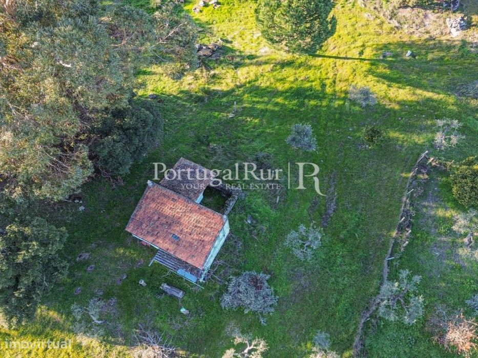 Quinta com 1,47 hectares em Alcains