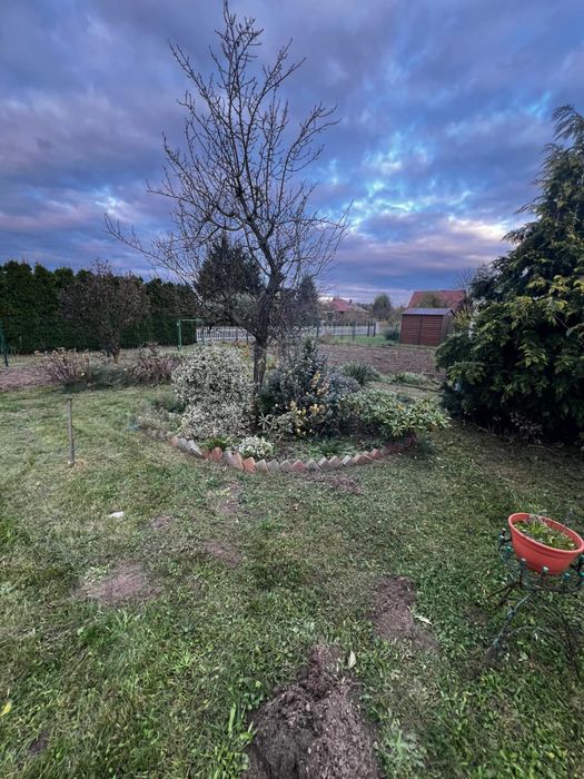 Działka ROD – Wolsztyn, ogród nr 2