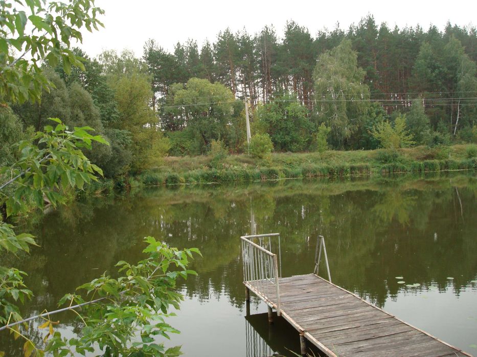 Продам ділянку 6сот.Миколаївка Бучанський р.садове тов, поруч озеро