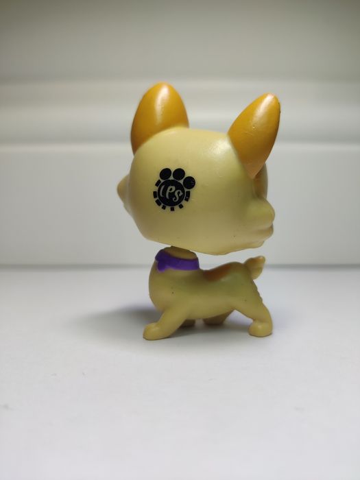 LPS Little Pet Shop pies Corgi Regalton # B4788