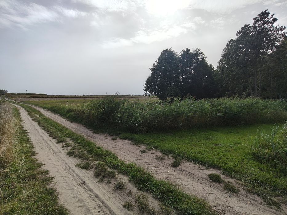 Działka rolna 3000m2 że stawkiem i domkiem pod rekreację