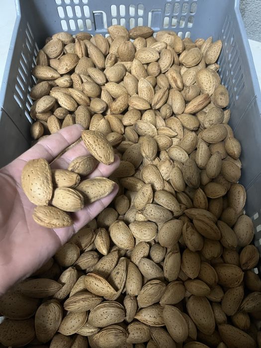 Vendo Amendoa da Beira Alta