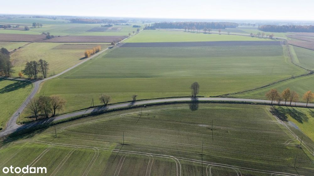 Działka budowlana 831 m² Dzielna - Więcej