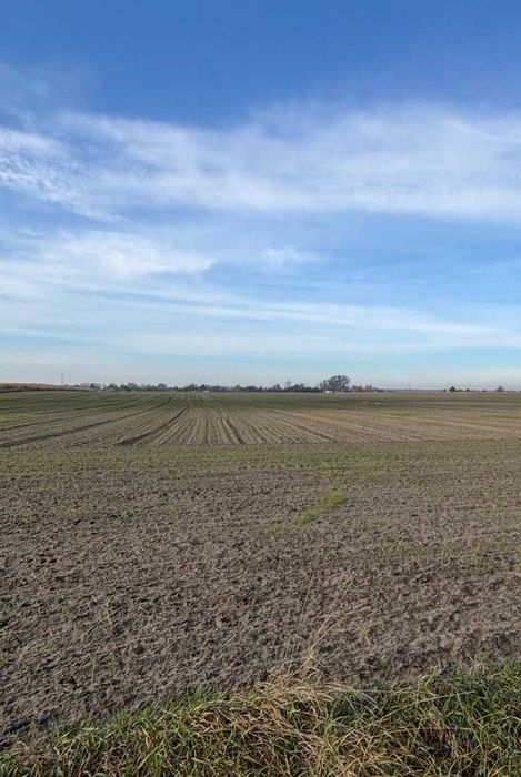 Wydzierżawię grunt rolny 11.5 ha Pamiątkowo Przecław gm. Szamotuły