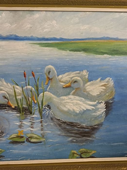 Max Koester ?.Kaczki .Obraz .Germany.