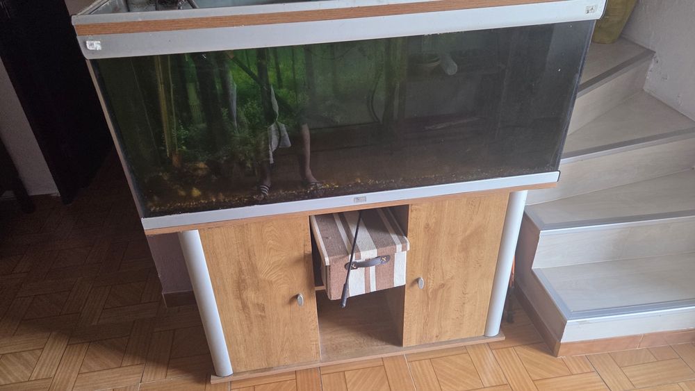Aquario e movel com filtro e cilindro de CO2 INCLUIDO