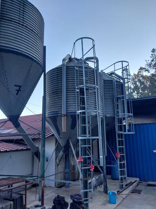 Silos para ração 6tn