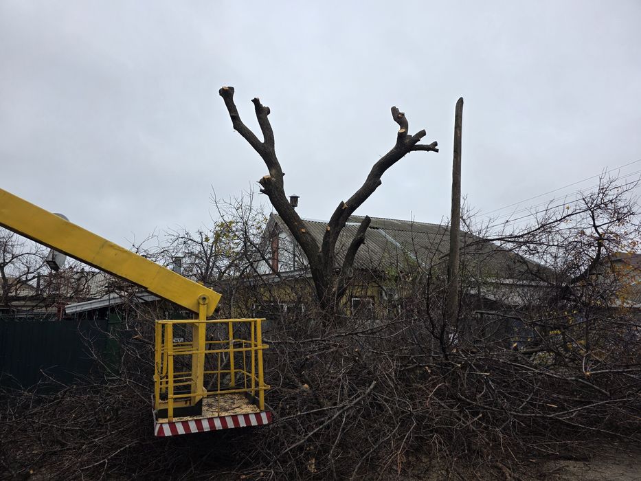 Професійна зрізка дерев та благоустрій ділянок корчування,вивіз.