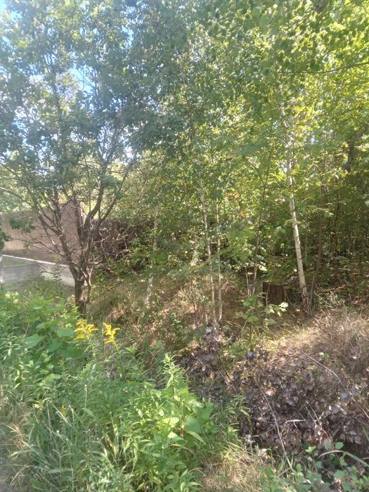 Терміново! 20 соток Земельна ділянка! Торг