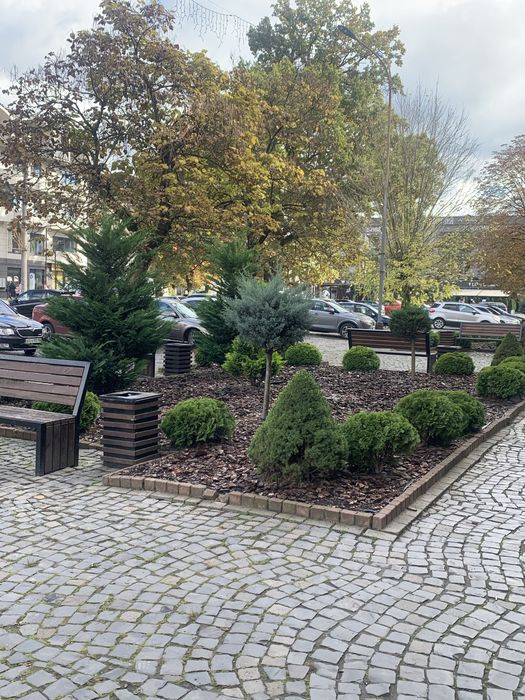 Садівник вирубка дерев лікування стрижка посадка рослин дизайн клумб