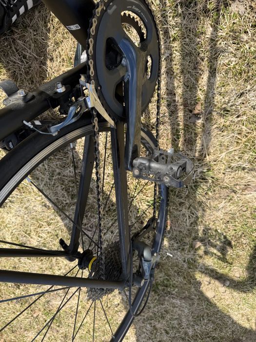 Canyon Endurance AL 6.0 WMN