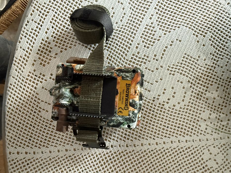 Camara para ver animais selvagens