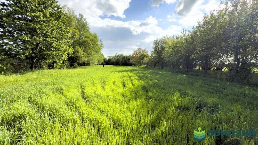 Продається ділянка 23 сот в с. Березівка (7)