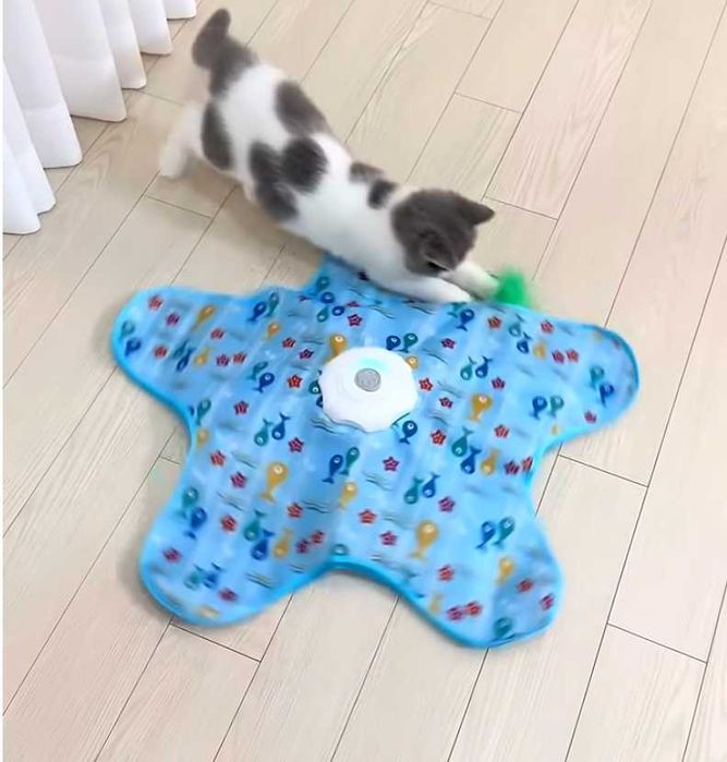 Інтерактивна гра "Схованки" для котів