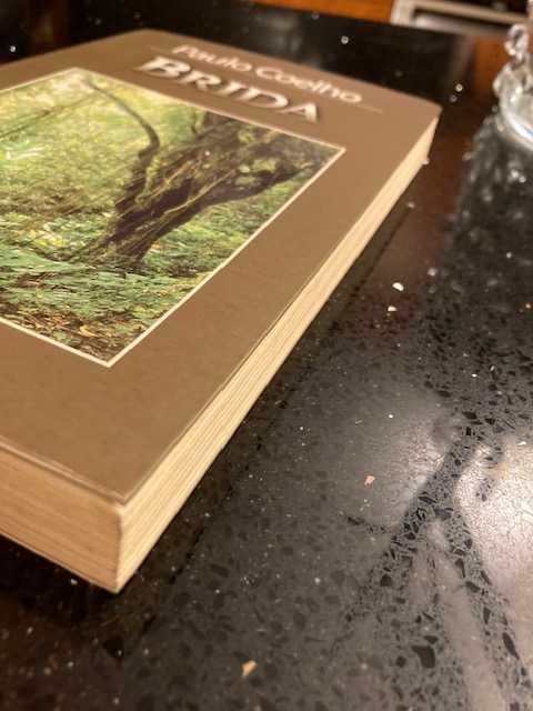 Livro Brida de Paulo Coelho