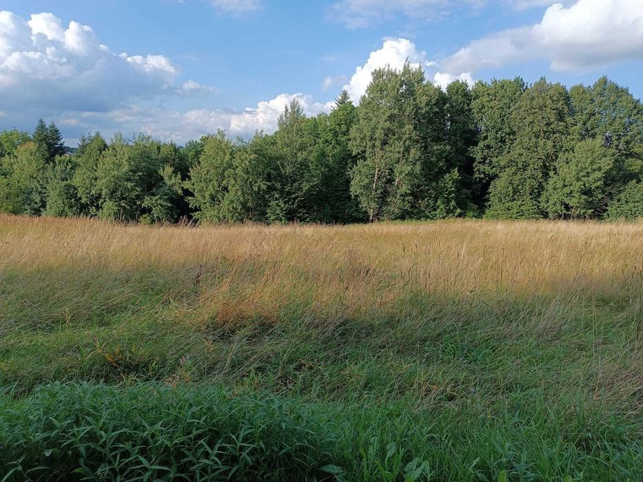 Działka budowlana Głogoczów 52 ar