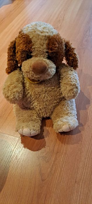 Cão em pelúcia com mensagem