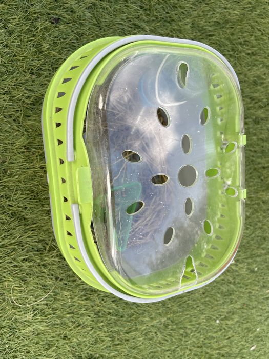 Transportadora para animais