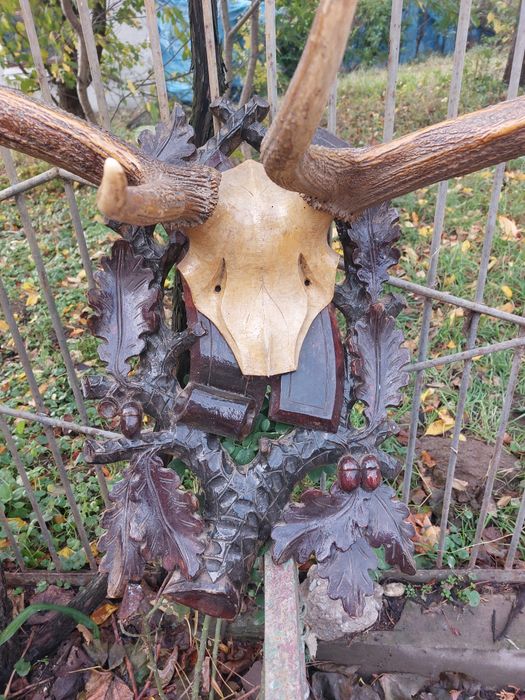 Продам оленячі роги