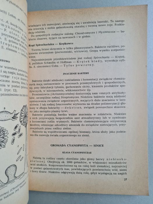 Systematyka roślin leczniczych - Książka