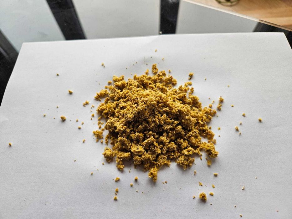 Świeże młóto kukurydziane - doskonała pasza, dostawa na miejsce