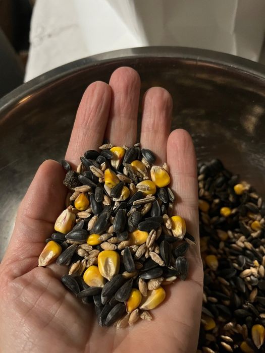 Słonecznik paszowy, mix zimowy dla ptakow 15 kg