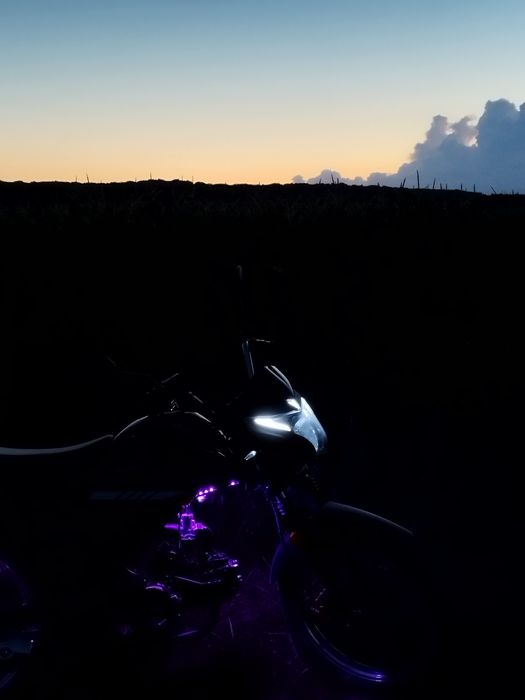 Продам мустанг фіт2