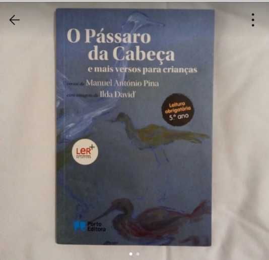 O Pássaro da Cabeça  - Literatura Obrigatória 5ºAno