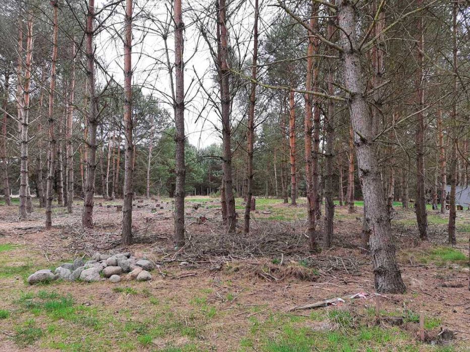 Las za płotem, jezioro 2–3 km | 1922 m² spokoju | DZIAŁKA BUDOWLANA MASZKÓW | 125 000 zł - Widok 3