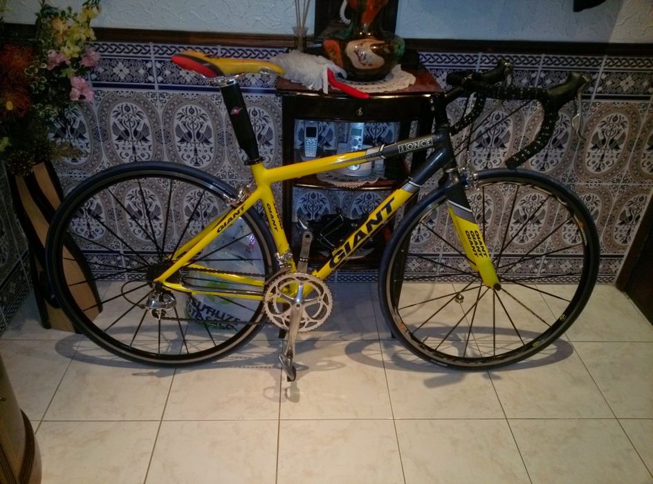 Bicicleta Giant team once
