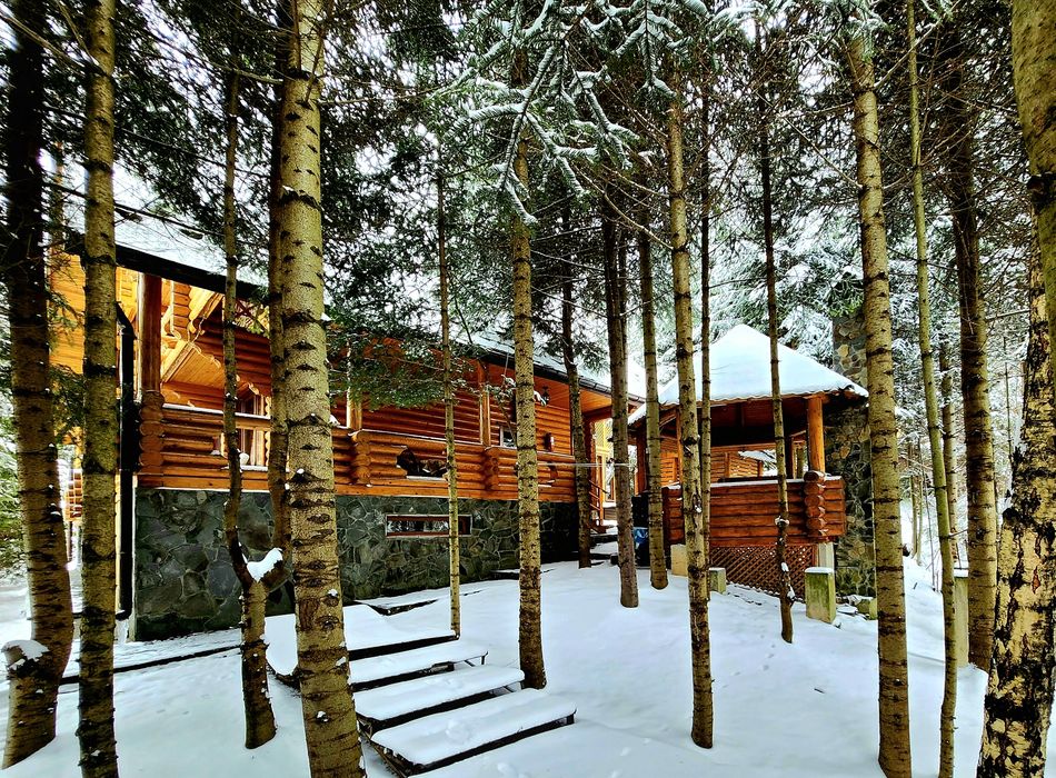 Котедж в Карпатах  Будинок в Мигово, оренда