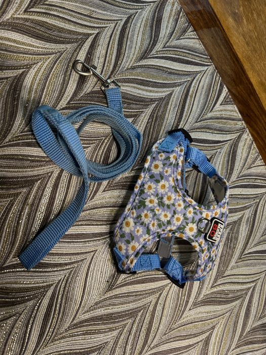 Nowy zestaw dla malego psa szelki smycz s/ xs