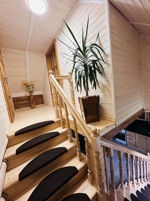 Деревяний будиночок біля термальних вод Косино