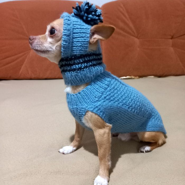 Одежда для собак, мини породы или щенков