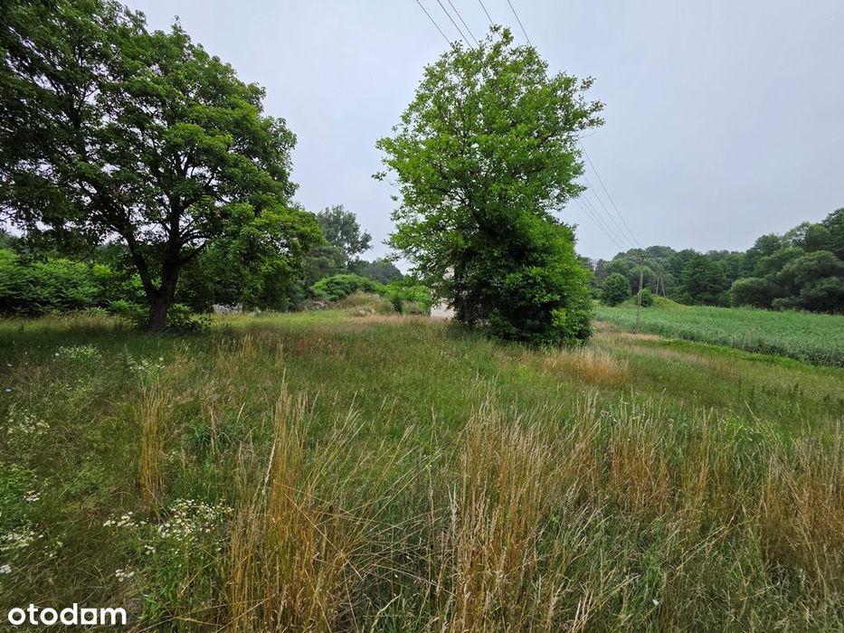 Zabytkowy Młyn, budynki gospodarcze, rzeka, las - Widok 4