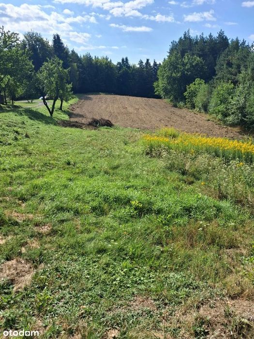 Działka rolna 22400 m² + drewniany dom i stodoła