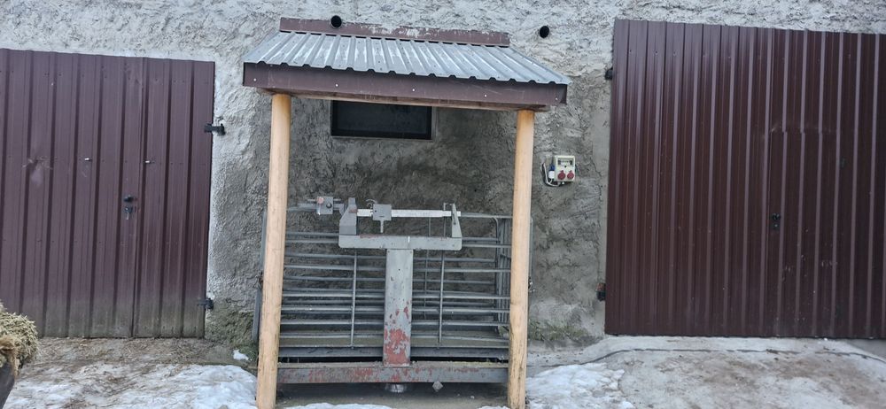 Waga inwentarska do bydła, świń itd