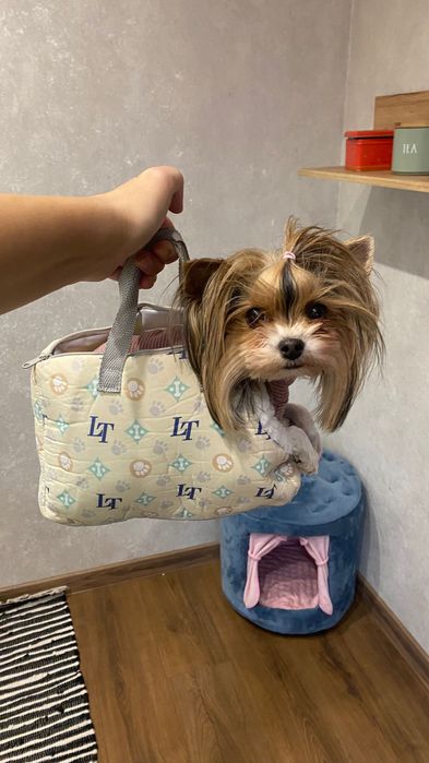 Переноска для тварин до 2 кг туалет для собак