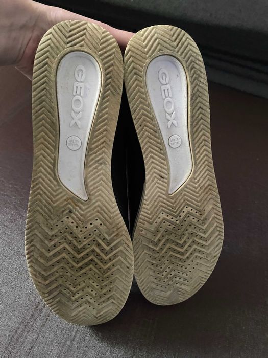 кросівки    Geox