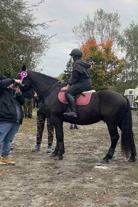 Wałach do współdzierżawy