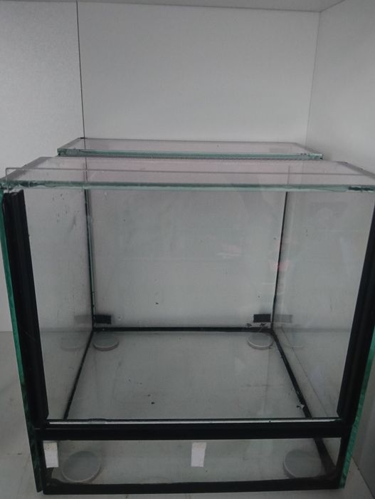 Terrarium 25x25x25