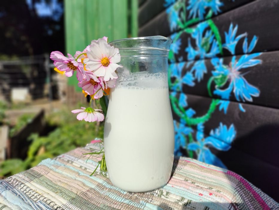 Kozie mleko świeże.