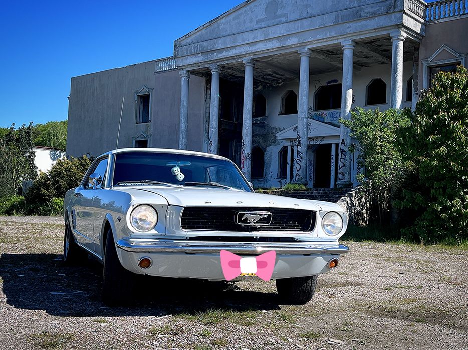 Samochód do ślubu Mustang 1966 Trójmiasto Pomorskie Auto Ślub Klasyk
