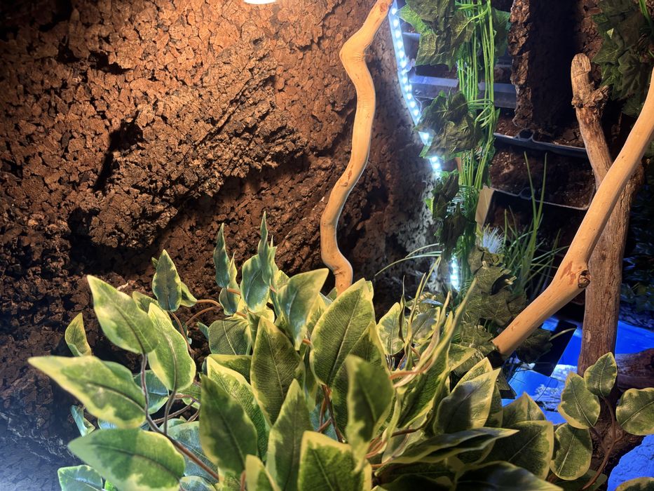 Terrarium tropikalne 100x160x55 cm z akwarium