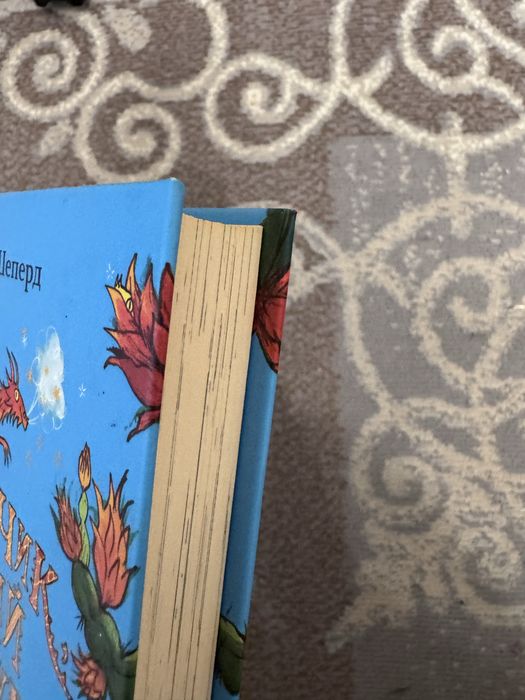 Дитяча книга Хлопчик який вирощував драконів