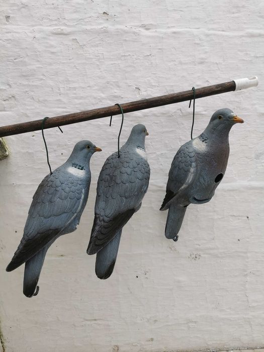 Pombos de plástico + estruturas