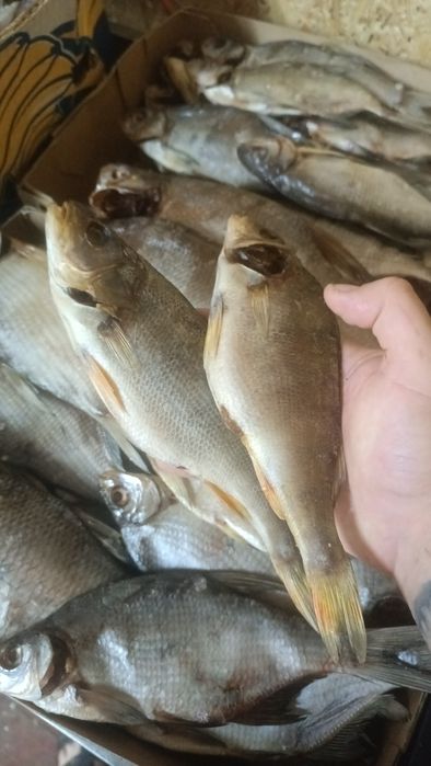 Продам вялену рибу.